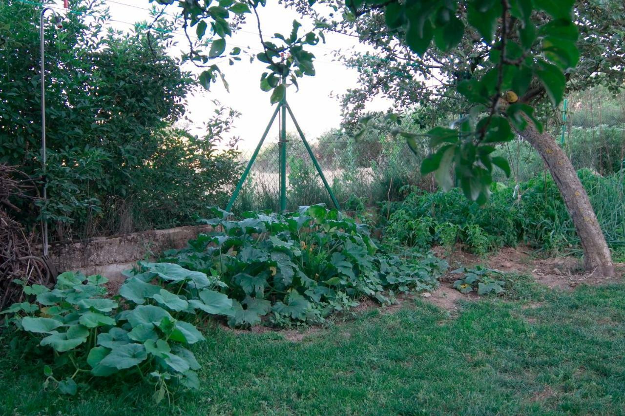 Вилла El Jardin De Manuela Сантибаньес-дель-Валь Экстерьер фото